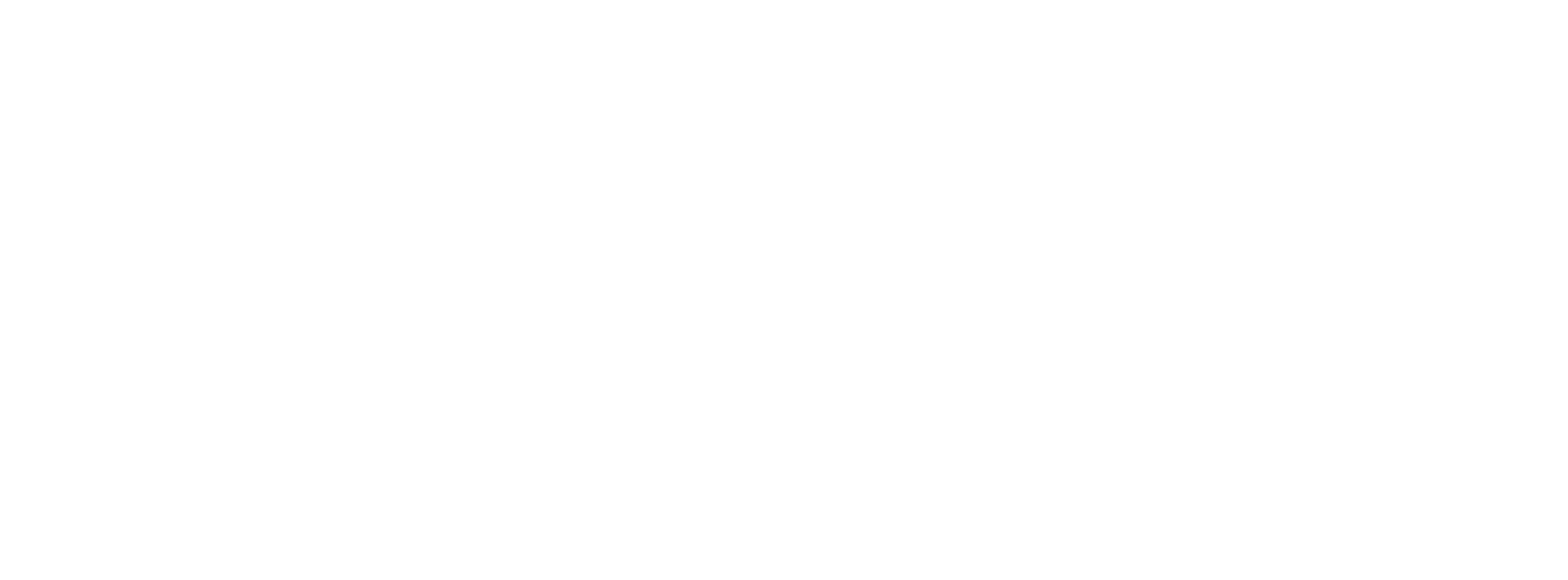 Sentinel Solutions